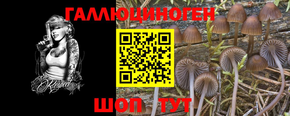 Псилоцибиновые грибы Psilocybe  Галлюциногенные грибы Psilocybe  Великие Луки  Вход с VPN 